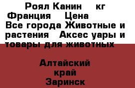  Роял Канин 20 кг Франция! › Цена ­ 3 520 - Все города Животные и растения » Аксесcуары и товары для животных   . Алтайский край,Заринск г.